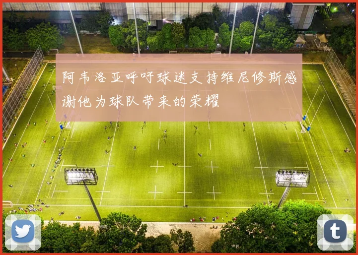 阿韦洛亚呼吁球迷支持维尼修斯感谢他为球队带来的荣耀