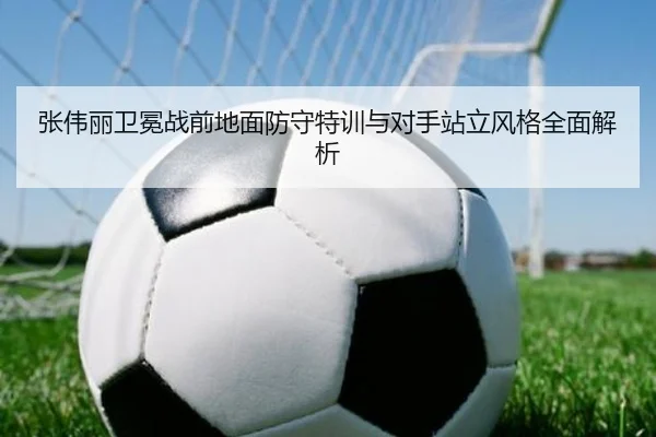 张伟丽卫冕战前地面防守特训与对手站立风格全面解析