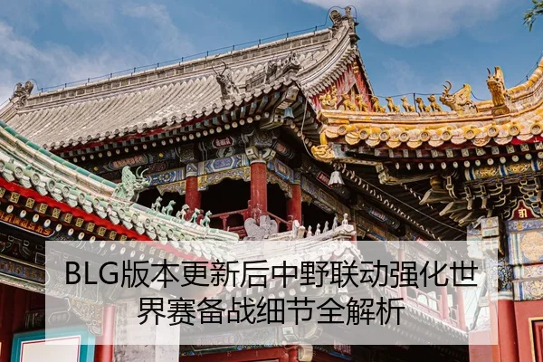 BLG版本更新后中野联动强化世界赛备战细节全解析